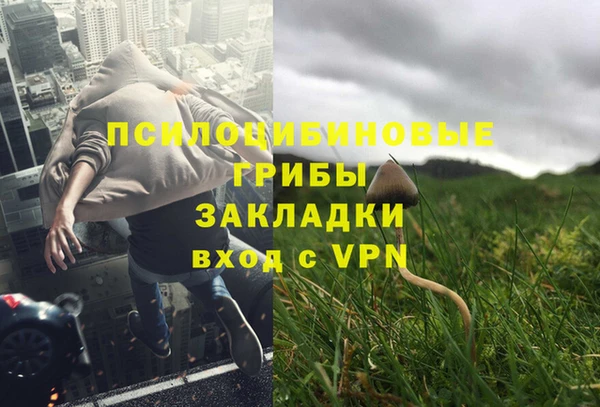 спайс Баксан