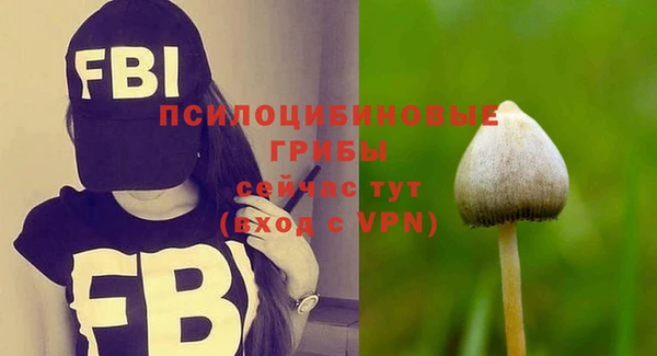 ПСИЛОЦИБИНОВЫЕ ГРИБЫ Балахна