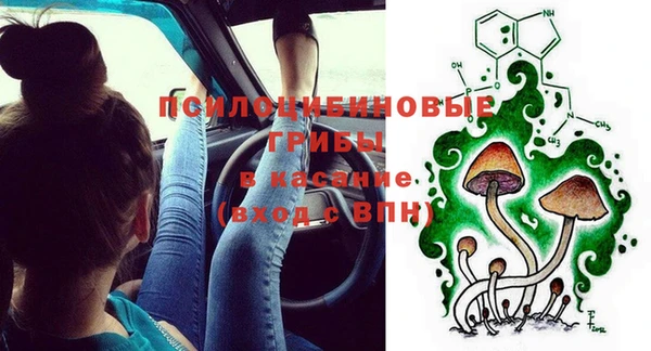 спайс Баксан