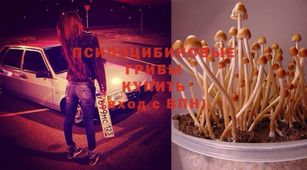 ПСИЛОЦИБИНОВЫЕ ГРИБЫ Балахна