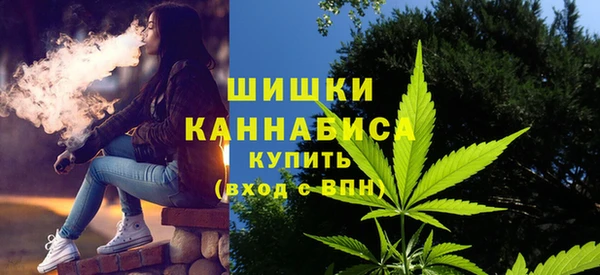 спайс Баксан