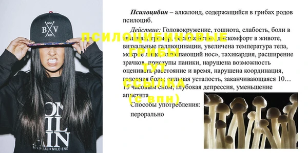 спайс Баксан