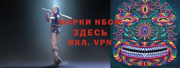 спайс Баксан