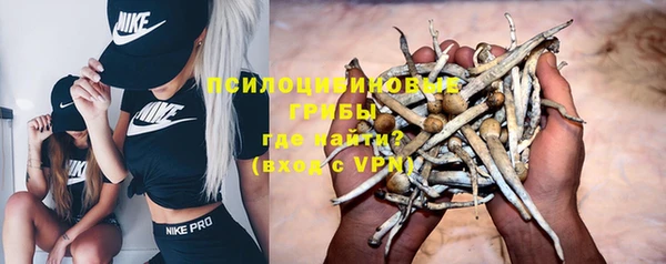 спайс Баксан